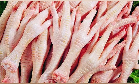Chicken Feet and Paws Frozen Chicken Feet / chicken legs , Chicken parts