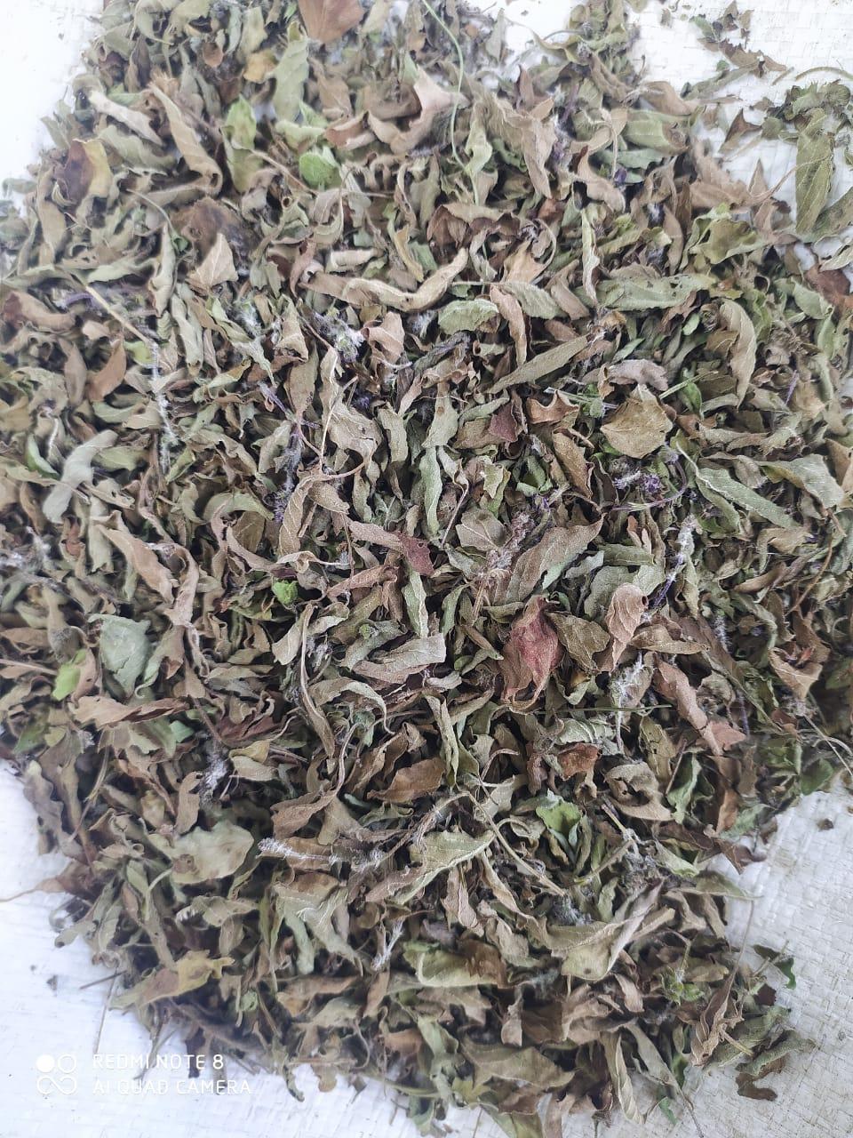 Top 7 Herbs suppliers in India — 7 Capabilities Reviewed - 6