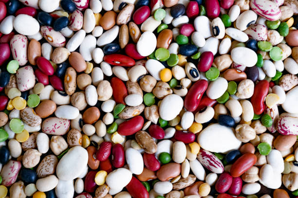 Top 10 Beans Suppliers in Spain in Year 2025: Market Trends & Leading Players