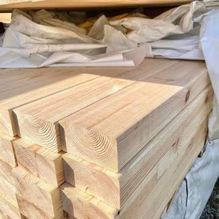 Spruce – product photo, product description