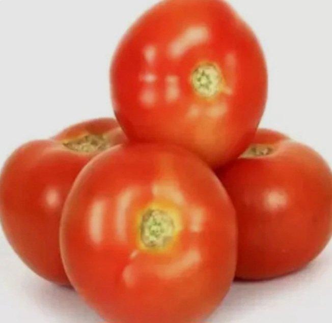 Fresh Tomato