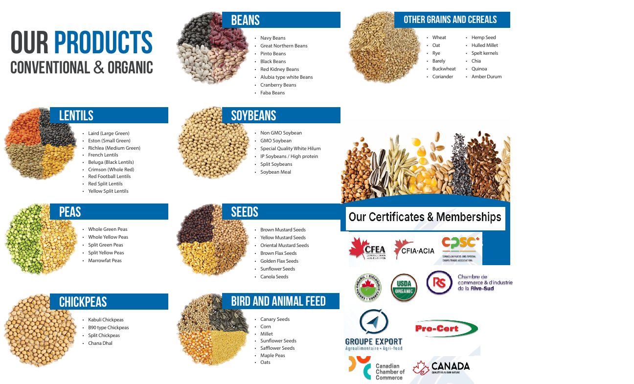 Canadian Red Split Lentils
