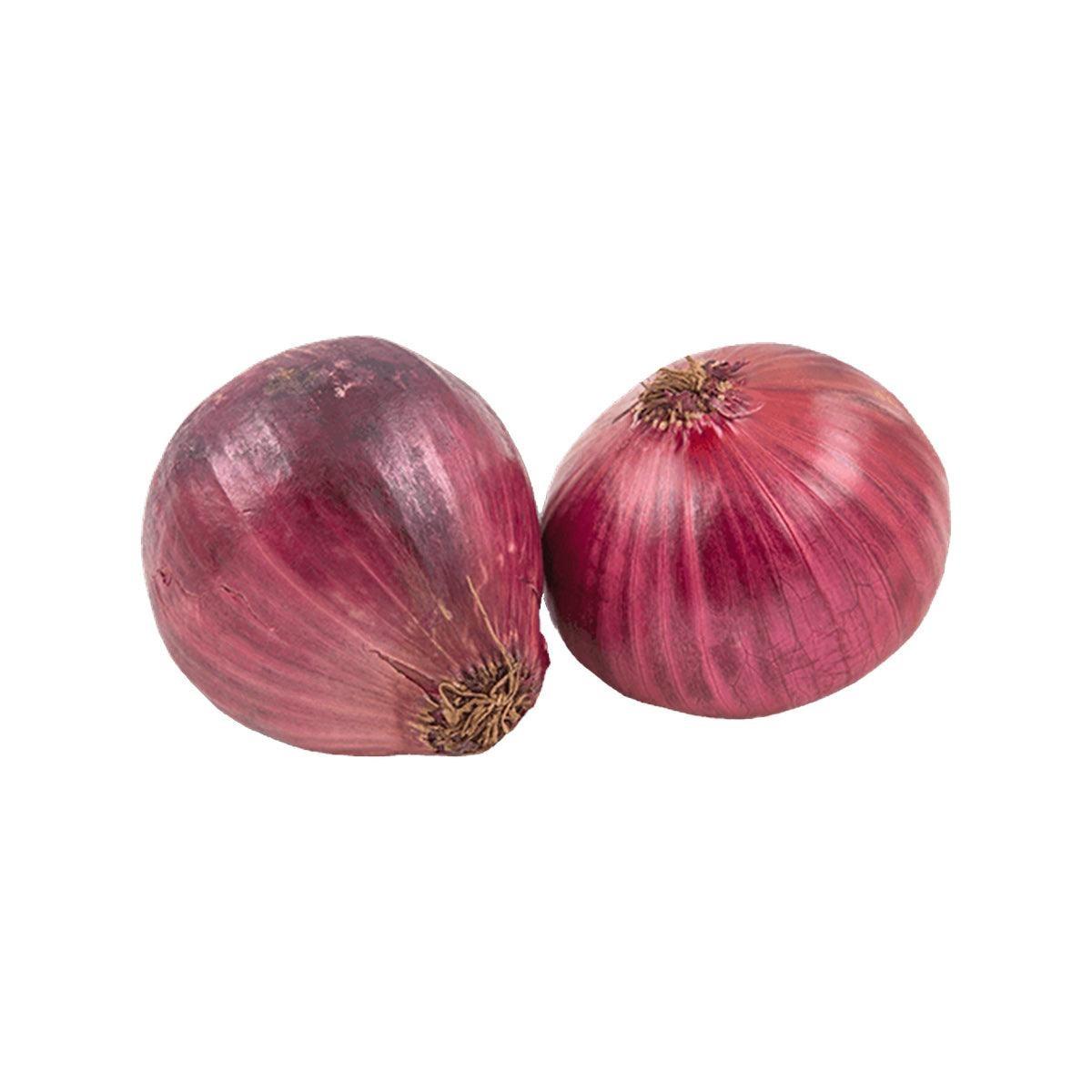 Natural Agricultural Source Fresh Onion Offering Export Packing Methods Shipment Support