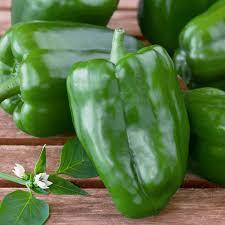 Top 3 Fresh Vegetables suppliers in Vietnam: Capabilities & Buyer Fit