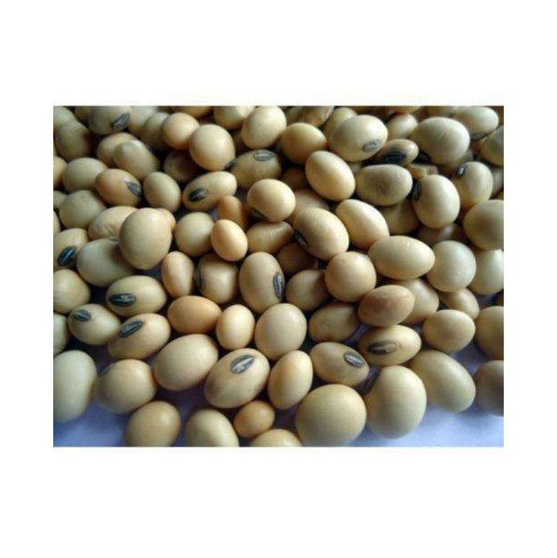 Brazil Agrofrozenchickenexports.com