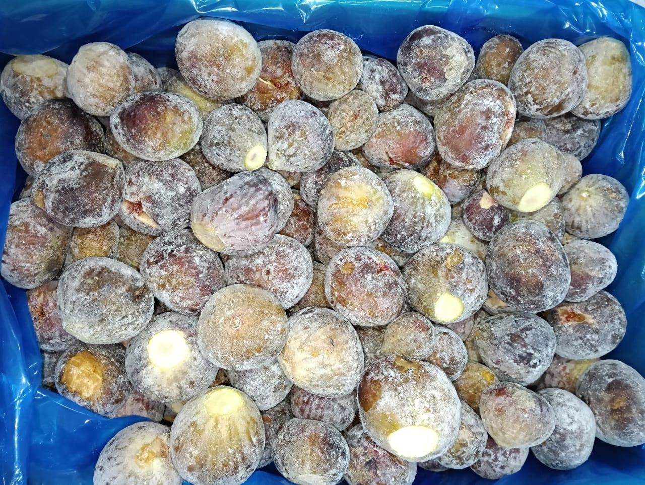 Frozen Figs Production Facility