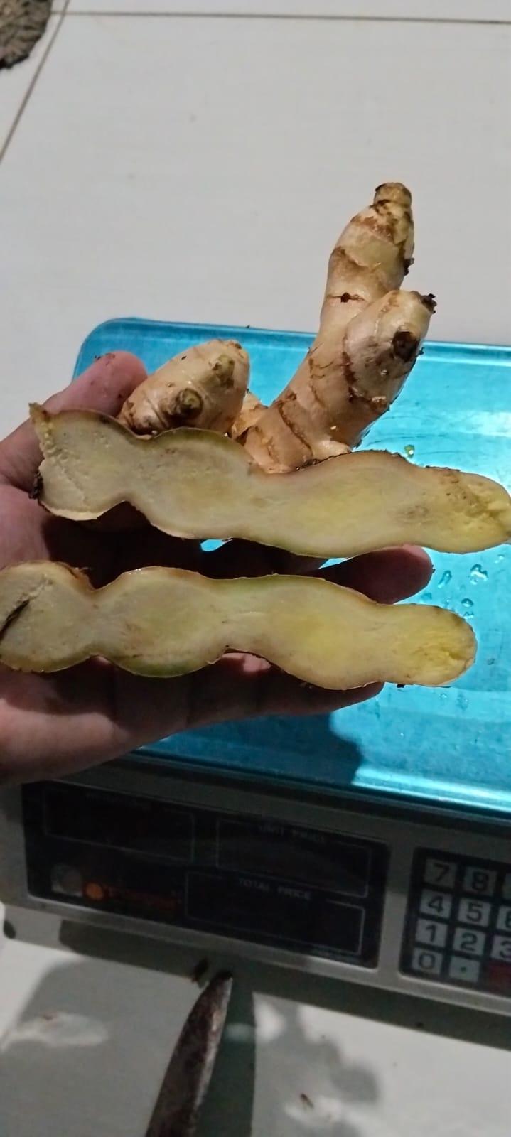 Fresh Ginger