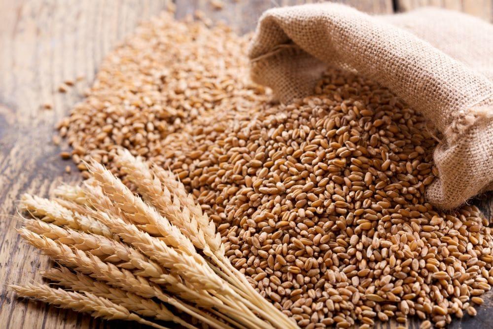 Whole Grain Wheat Image 1