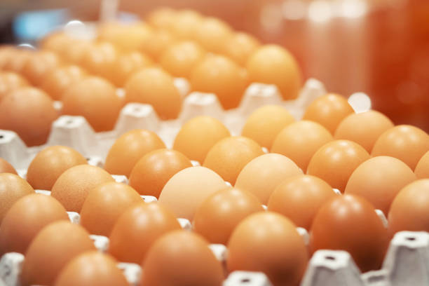 Top 3 Eggs Suppliers in Netherlands in August 2025: A Data-Driven Guide
