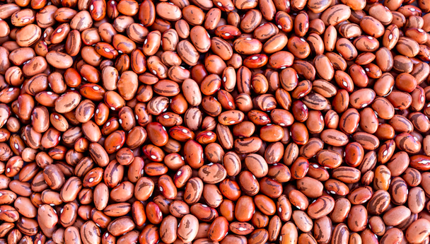 Organic Red Kidney Beans