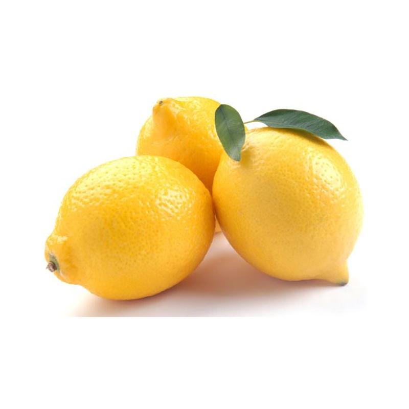 HIGH QUALITY - ORGANIC CITRUS - FRESH LEMON/ FRESH LEMONS