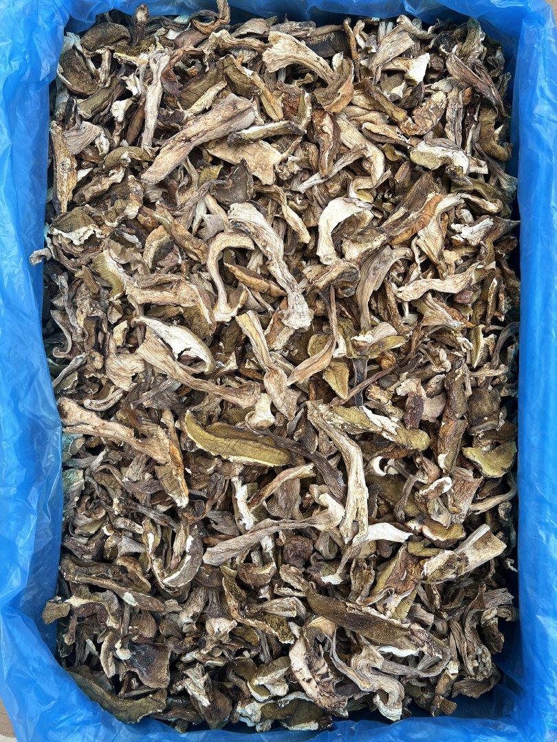 Dried Boletus Edulis Slice