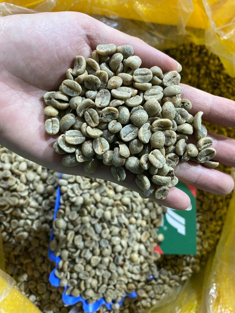 Coffee Products