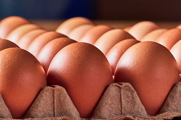 Top 8 Chicken Eggs Suppliers in United Kingdom in Year 2025