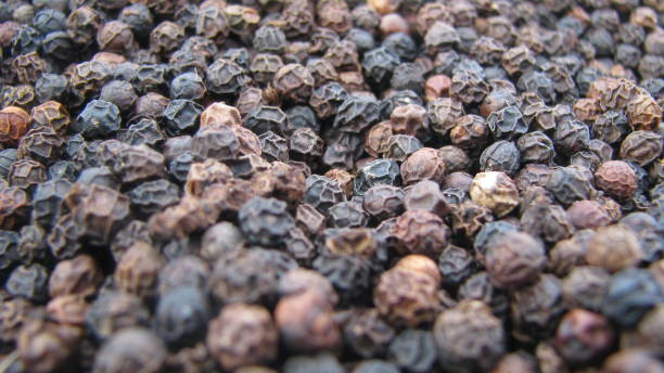 Your Expert Guide to Procuring Top-Tier Pepper – Top 5 Pepper Suppliers in India in Week 13 of 2025