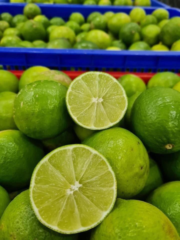 Organic Fresh Lemon Fruits fresh Sales Organic Yes Origin South Africa
