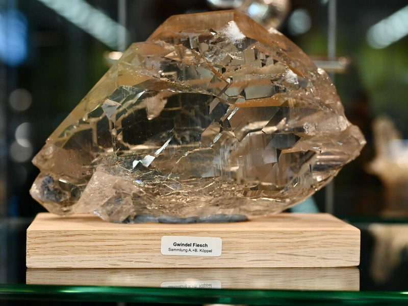 Inside BERNER FOSSILIEN- UND MINERALIENBÖRSE: B2B Key Insights - 3