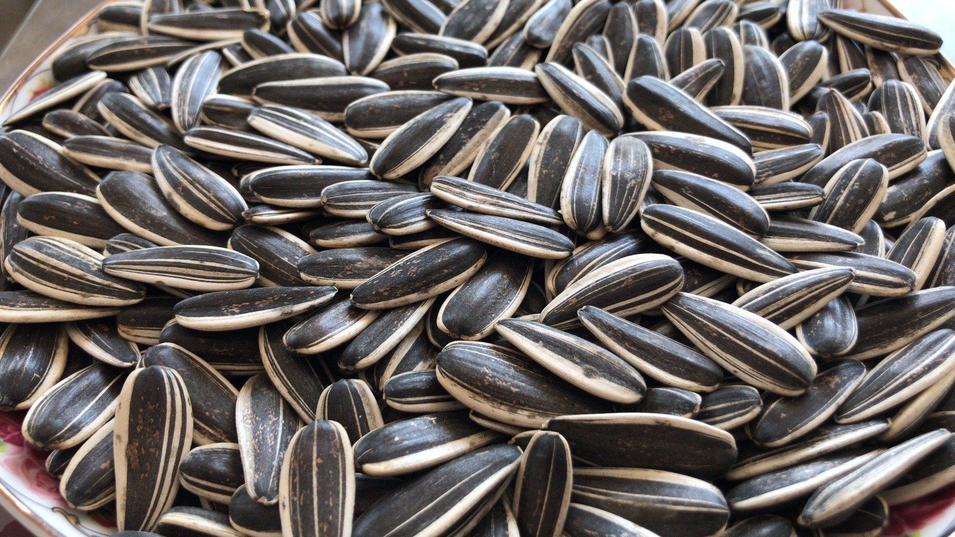 Organic Sunflower Seeds wholesale 361 363 601 T5 T6 2099