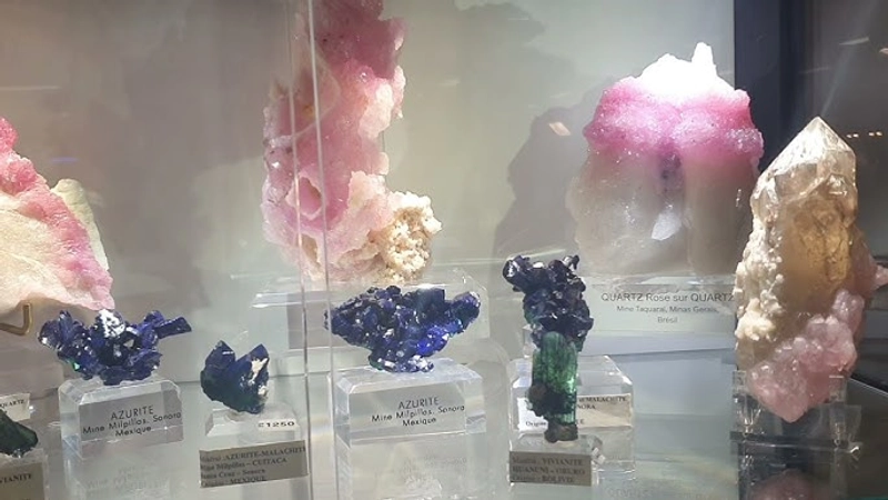 Inside Paris Mineral Show : B2B Key Insights - 2
