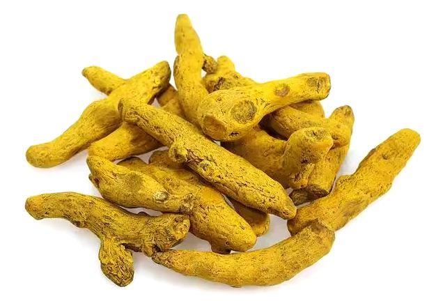 Bulk Dry Turmeric Supplier – Superior Quality Whole Turmeric Roots and Powder, Natural Yellow Color, High Curcumin Content, Food Processing Grade, Carefully Dried, Export Standard, Competitive Wholesale Prices, Reliable Packaging, Worldwide Delivery for Commercial Buyers