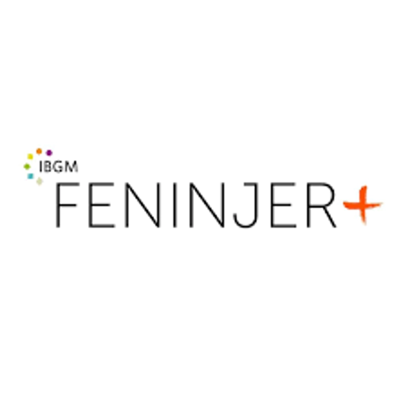Why Feninjer - Brazilian Gems and Jewellery Show Matters for B2B