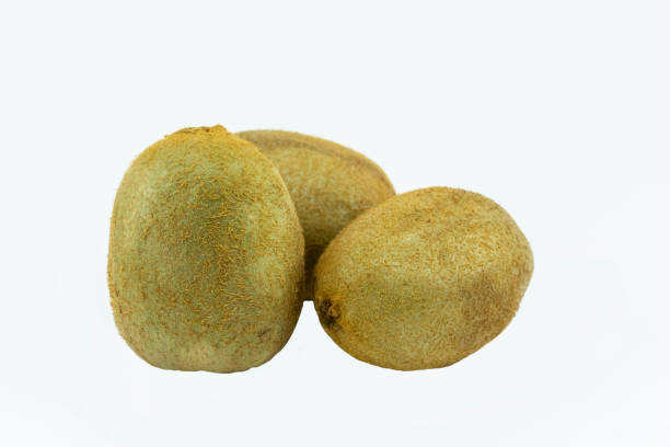 Top 6 Kiwi Suppliers in Poland in Year 2025: What’s Fresh in the Market Now