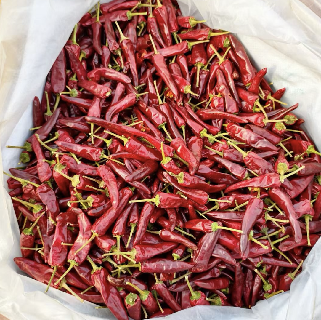 Best Quality Red Chilli Peppers –Bold Colour, Fresh Heat 20kg Reliable Quality Chilli for Global Markets