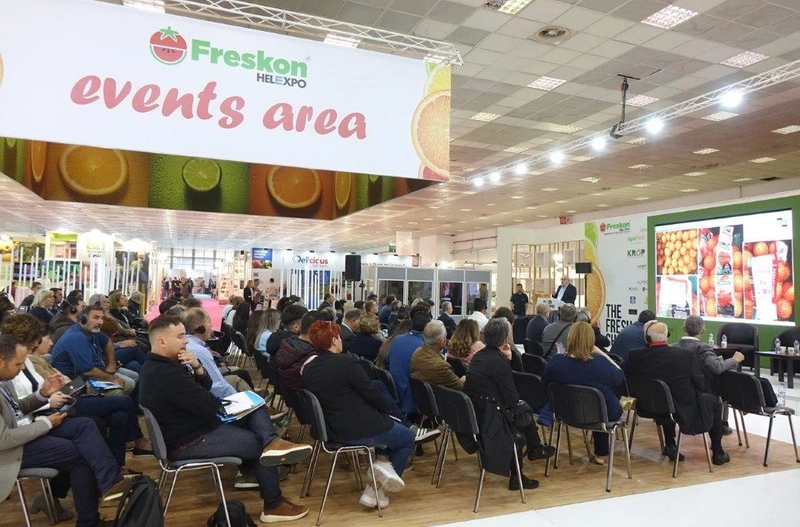 Inside FRESKON: B2B Key Insights - 3