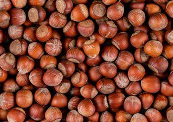 Hazelnuts Image 1