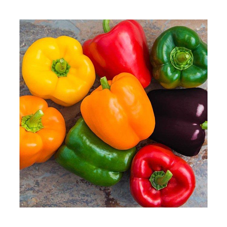 High Quality Fresh Flavorful Pack Frozen Vegetables Red Green Yellow Bell Pepper