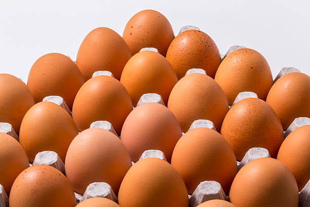 Top 7 Chicken Eggs Suppliers in Egypt in Year 2025: Market Overview, Trends & Export-Ready Producers