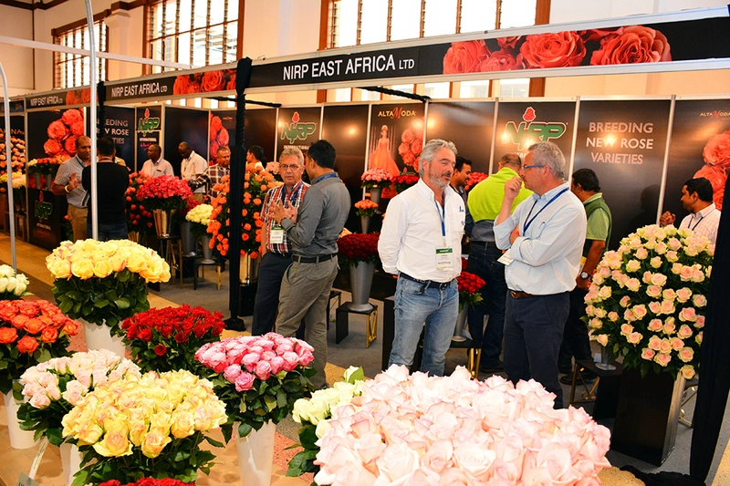 IFTEX Expo Kenya Revealed: B2B Opportunity - 1