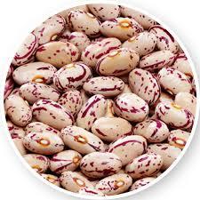 Premium Sugar Beans (Red Speckled Beans / Pinto Beans) Grade A Type Seed Grain Size Uniform Color Red Speckled Flavor Rich And Mild