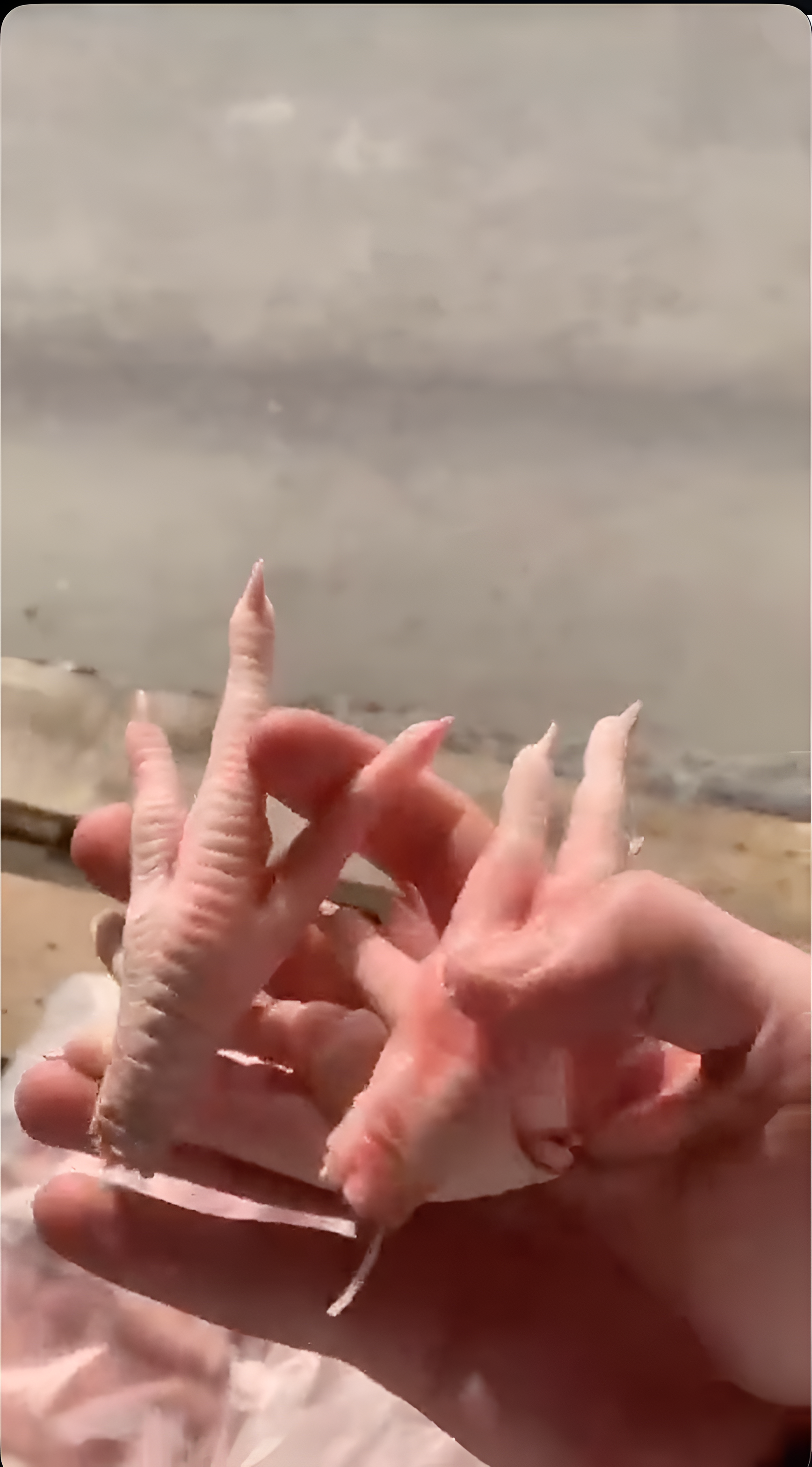 Frozen Chicken Feet