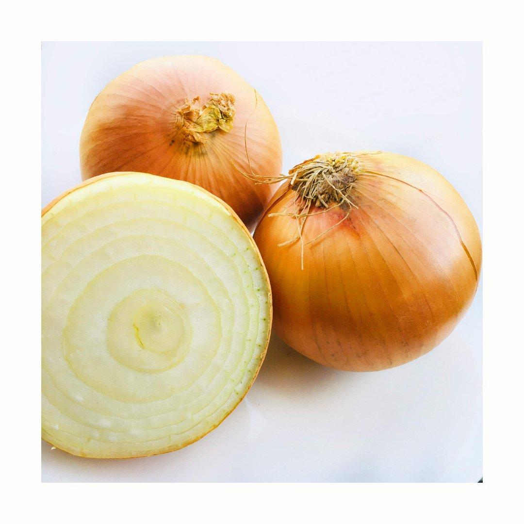 High quality fresh onion prepared for bulk sourcing and fast global shipment