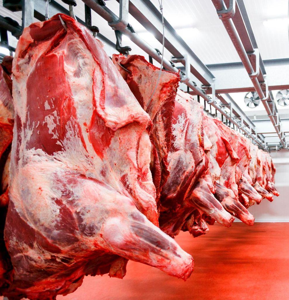 FRESH BULL MEAT Beef