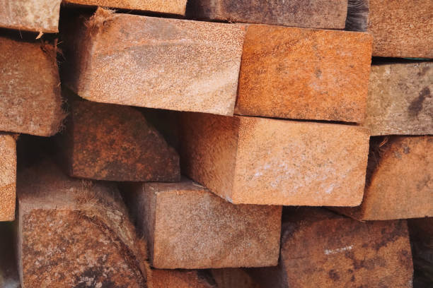 A Comprehensive Guide to Sourcing High-Quality Wood: Top 8 Wood Suppliers in Sri Lanka in Quarter 3 of 2025