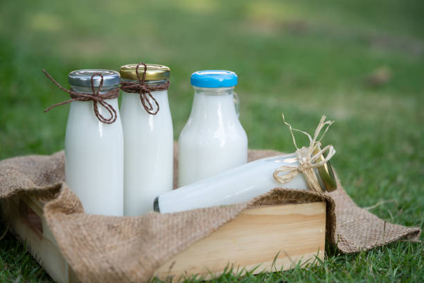Top 10 Other Milk Suppliers in Italy in July 2025: Market Update and Supplier Insights