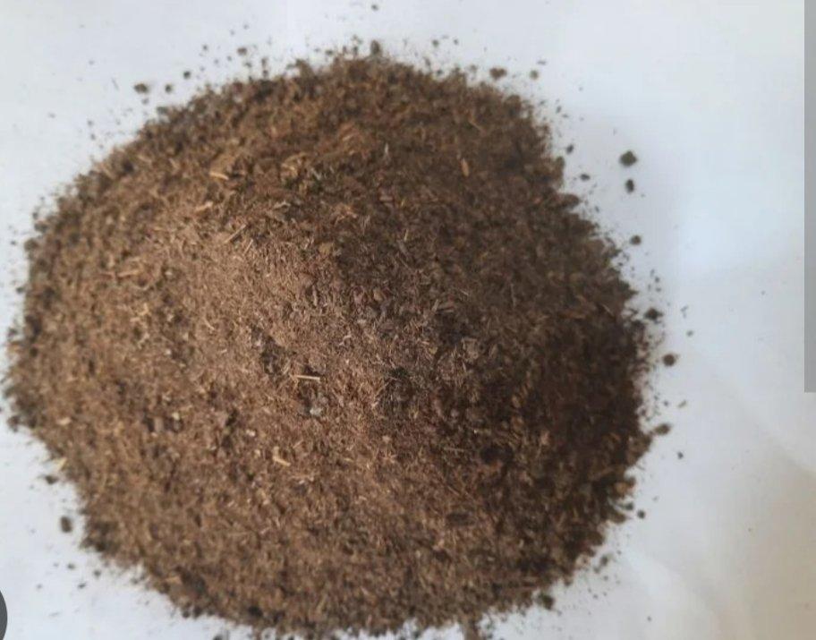 Cow dung mansur