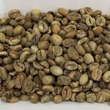 Robusta Coffee