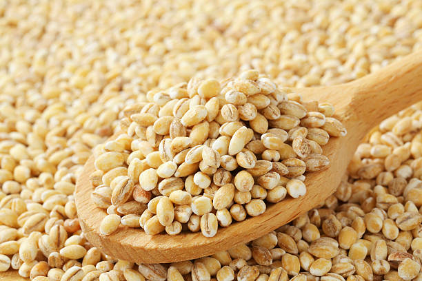 Top 9 Barley Suppliers in Vietnam in Year 2025: Market Insights, Trends & Strategic Moves