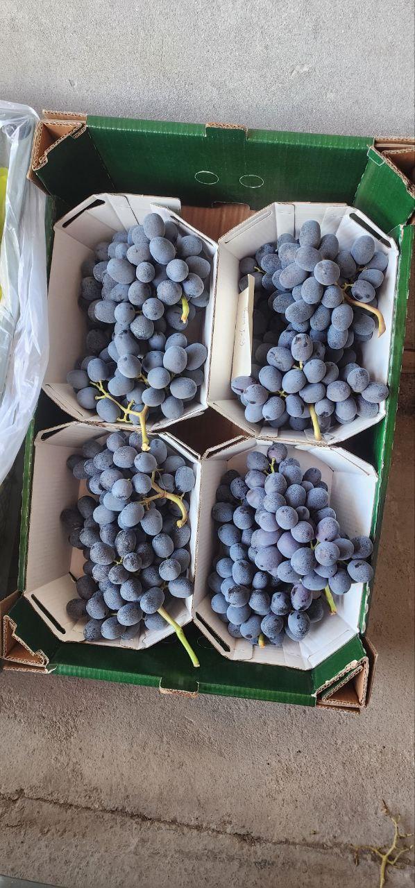 Fresh Grape Product 2