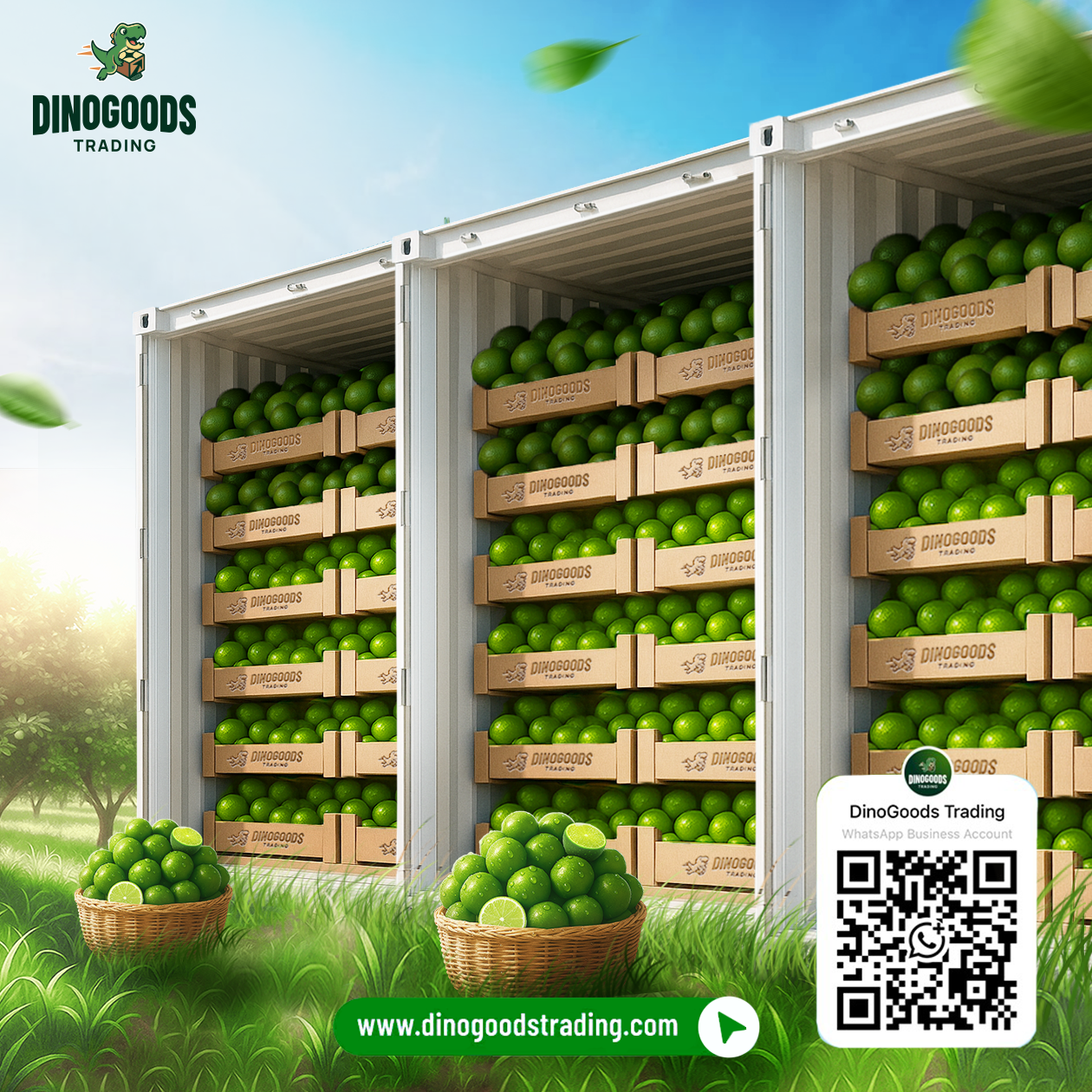 Vietnamese Green Seedless Lime
