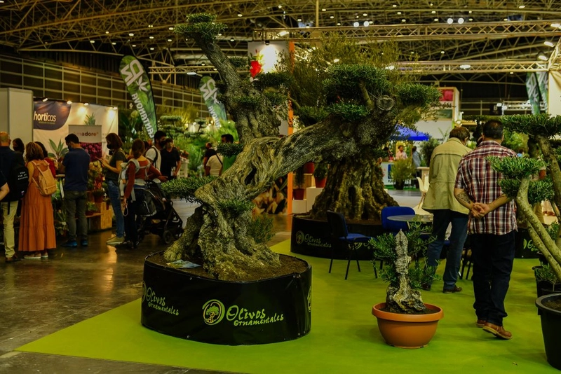 IBERFLORA Revealed: B2B Opportunity - 1