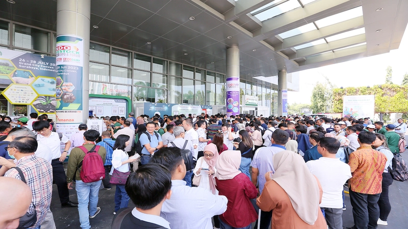 Indo Livestock Expo & Forum Revealed: B2B Opportunity - 3
