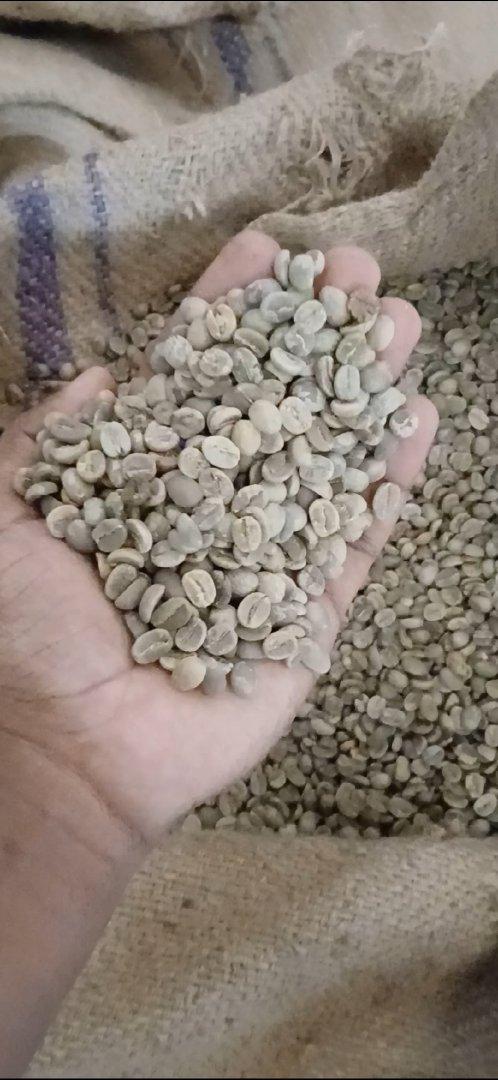 Arabica Coffee