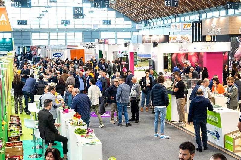 MACFRUT Spotlight: B2B Essentials - 1