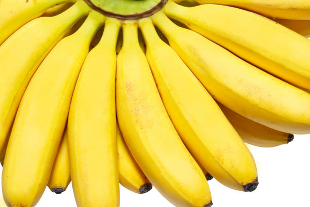 A Comprehensive Guide to Sourcing High-Quality Banana: Top 4 Banana Suppliers in China in Year 2025