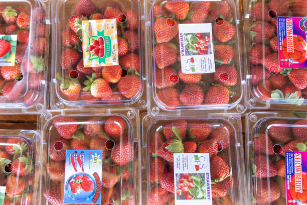 Top 4 Strawberry Suppliers in United Kingdom in July 2025: Market Insights & Strategic Analysis