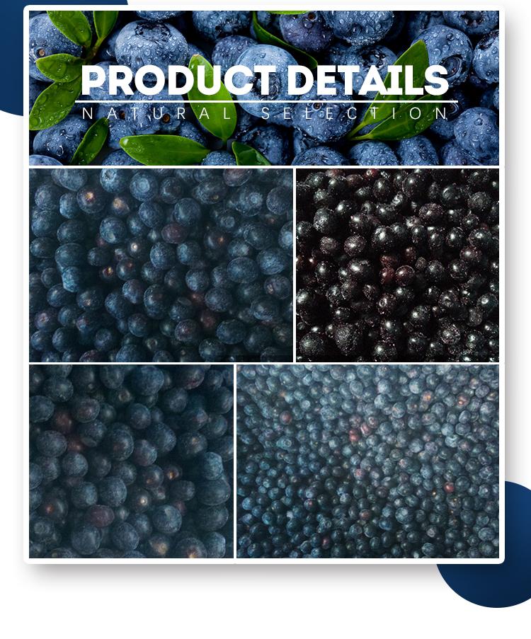 frozen blueberry
